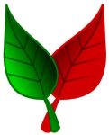 Pépinière Coppoolse